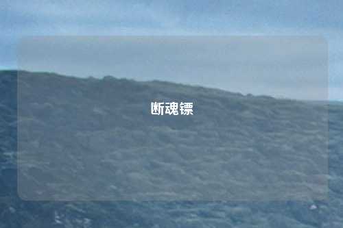 断魂镖