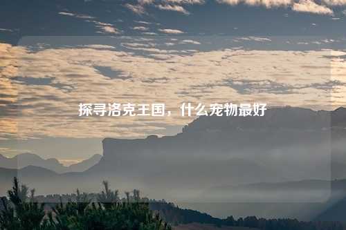 探寻洛克王国，什么宠物最好