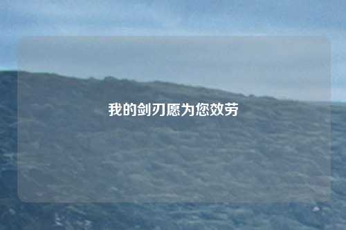我的剑刃愿为您效劳