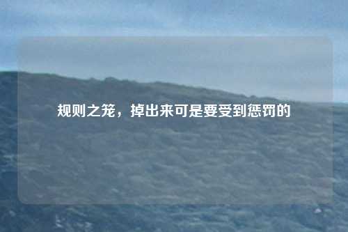 规则之笼，掉出来可是要受到惩罚的