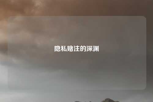 隐私赌注的深渊
