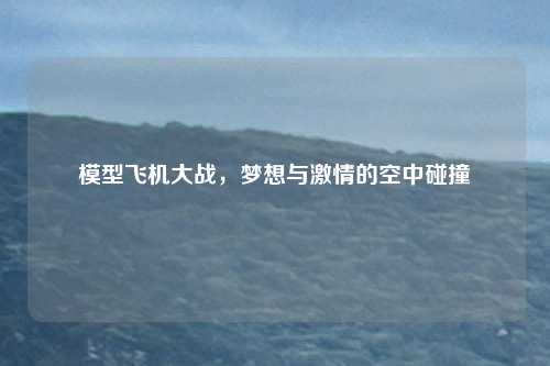 模型飞机大战，梦想与激情的空中碰撞