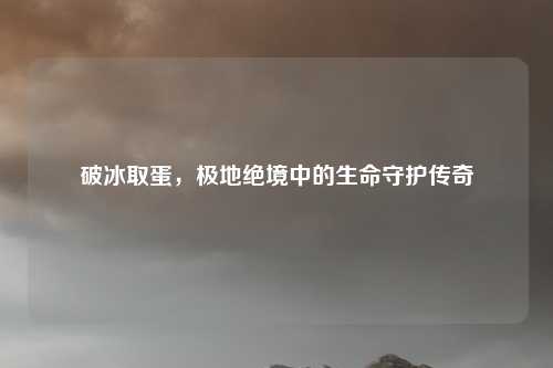 破冰取蛋,极地绝境中的生命守护传奇