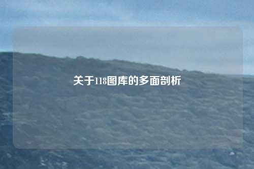 关于118图库的多面剖析