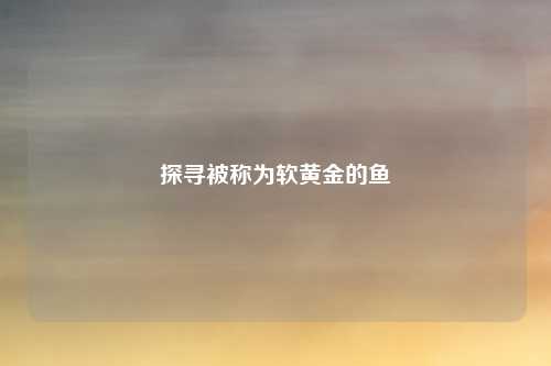 探寻被称为软黄金的鱼