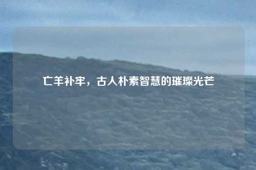亡羊补牢，古人朴素智慧的璀璨光芒