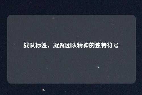 战队标签,凝聚团队精神的独特符号