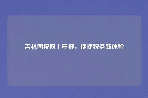 吉林国税网上申报，便捷税务新体验