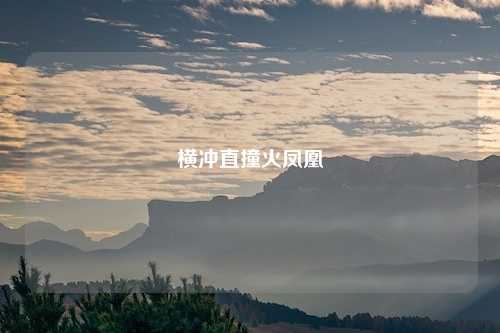 横冲直撞火凤凰