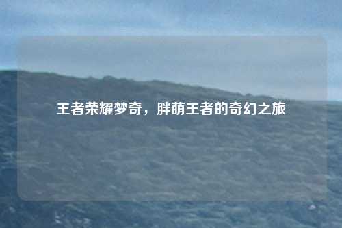 王者荣耀梦奇，胖萌王者的奇幻之旅