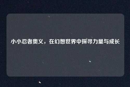 小小忍者奥义，在幻想世界中探寻力量与成长