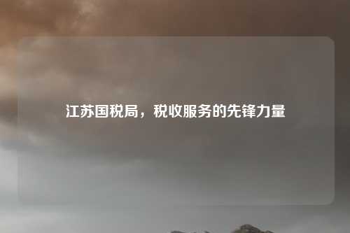 江苏国税局，税收服务的先锋力量