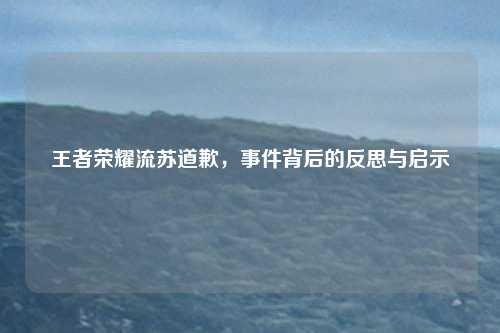 王者荣耀流苏道歉，事件背后的反思与启示