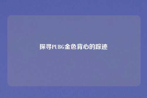 探寻PUBG金色背心的踪迹