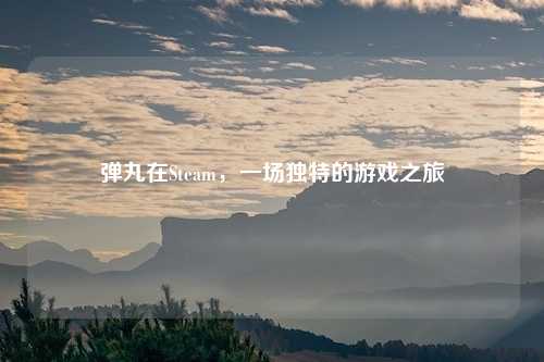 弹丸在Steam，一场独特的游戏之旅