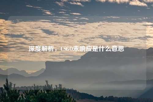 深度解析，CSGO未响应是什么意思