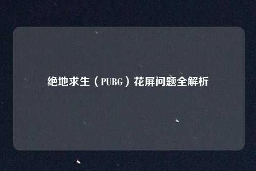 绝地求生（PUBG）花屏问题全解析