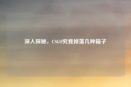 深入探秘，CSGO究竟掉落几种箱子