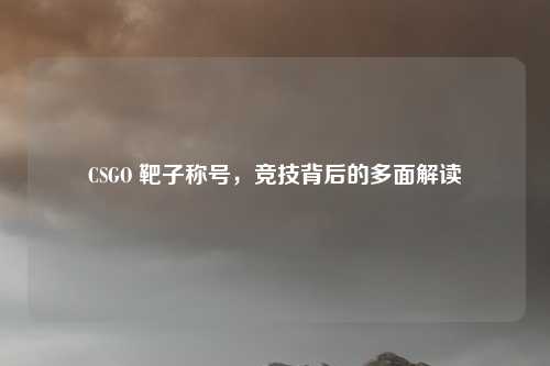 CSGO 靶子称号，竞技背后的多面解读