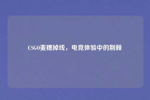 CSGO麦穗掉线，电竞体验中的荆棘