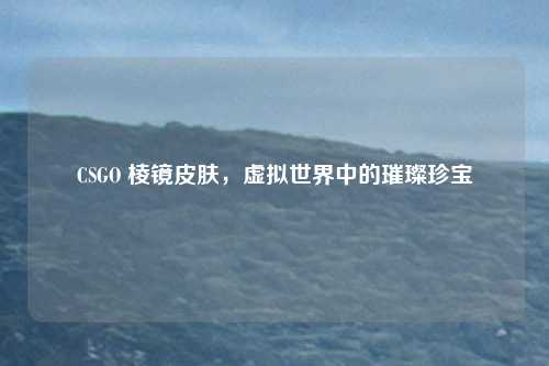 CSGO 棱镜皮肤，虚拟世界中的璀璨珍宝