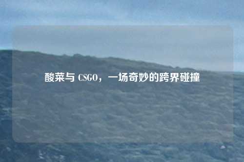 酸菜与 CSGO，一场奇妙的跨界碰撞