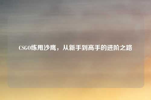 CSGO练甩沙鹰，从新手到高手的进阶之路