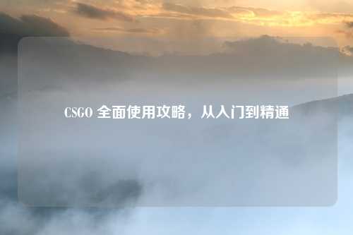 CSGO 全面使用攻略，从入门到精通