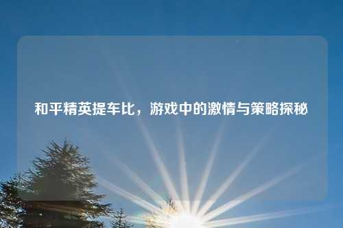 和平精英提车比，游戏中的激情与策略探秘