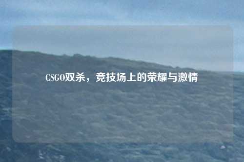 CSGO双杀，竞技场上的荣耀与激情