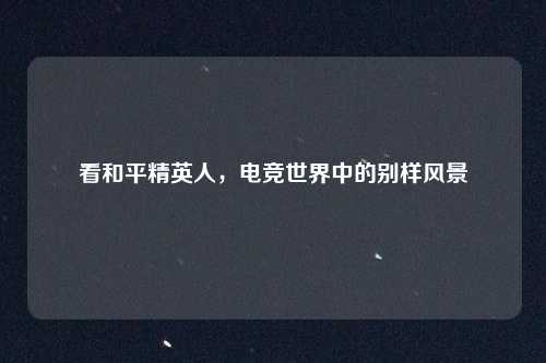 看和平精英人，电竞世界中的别样风景