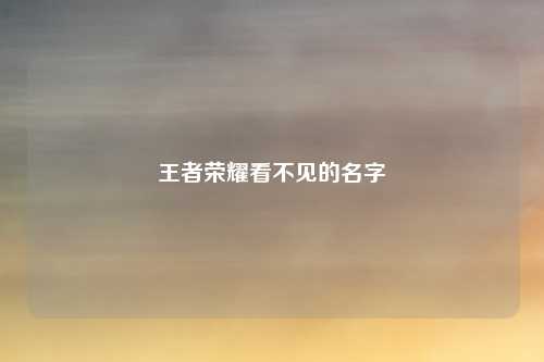 王者荣耀看不见的名字