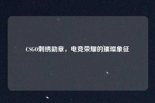CSGO刺绣勋章，电竞荣耀的璀璨象征