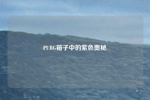 PUBG箱子中的紫色奥秘
