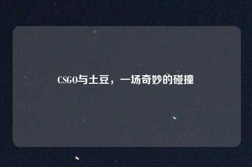 CSGO与土豆，一场奇妙的碰撞