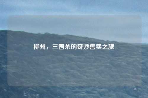 柳州，三国杀的奇妙售卖之旅