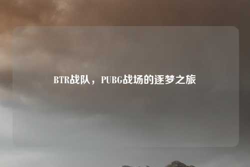 BTR战队，PUBG战场的逐梦之旅