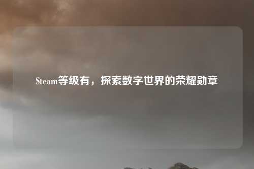 Steam等级有，探索数字世界的荣耀勋章