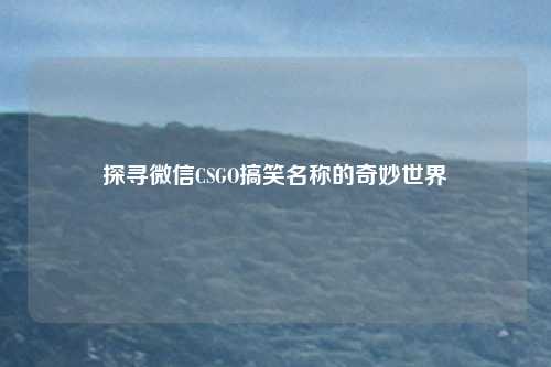 探寻微信CSGO搞笑名称的奇妙世界