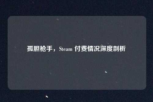 孤胆枪手，Steam 付费情况深度剖析