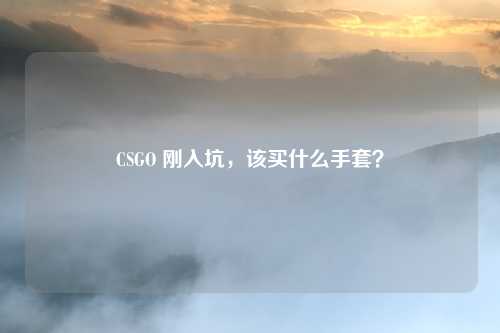 详细阅读:CSGO 刚入坑,该买什么手套? CSGO 刚入坑,该买什么手套?