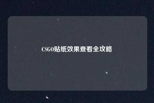 CSGO贴纸效果查看全攻略