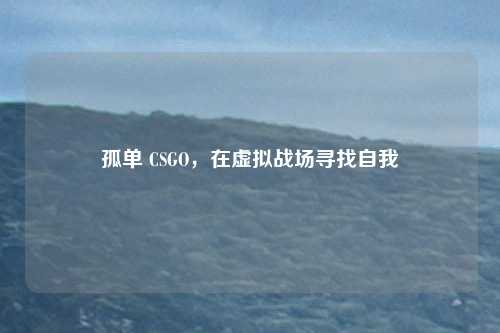 孤单 CSGO，在虚拟战场寻找自我